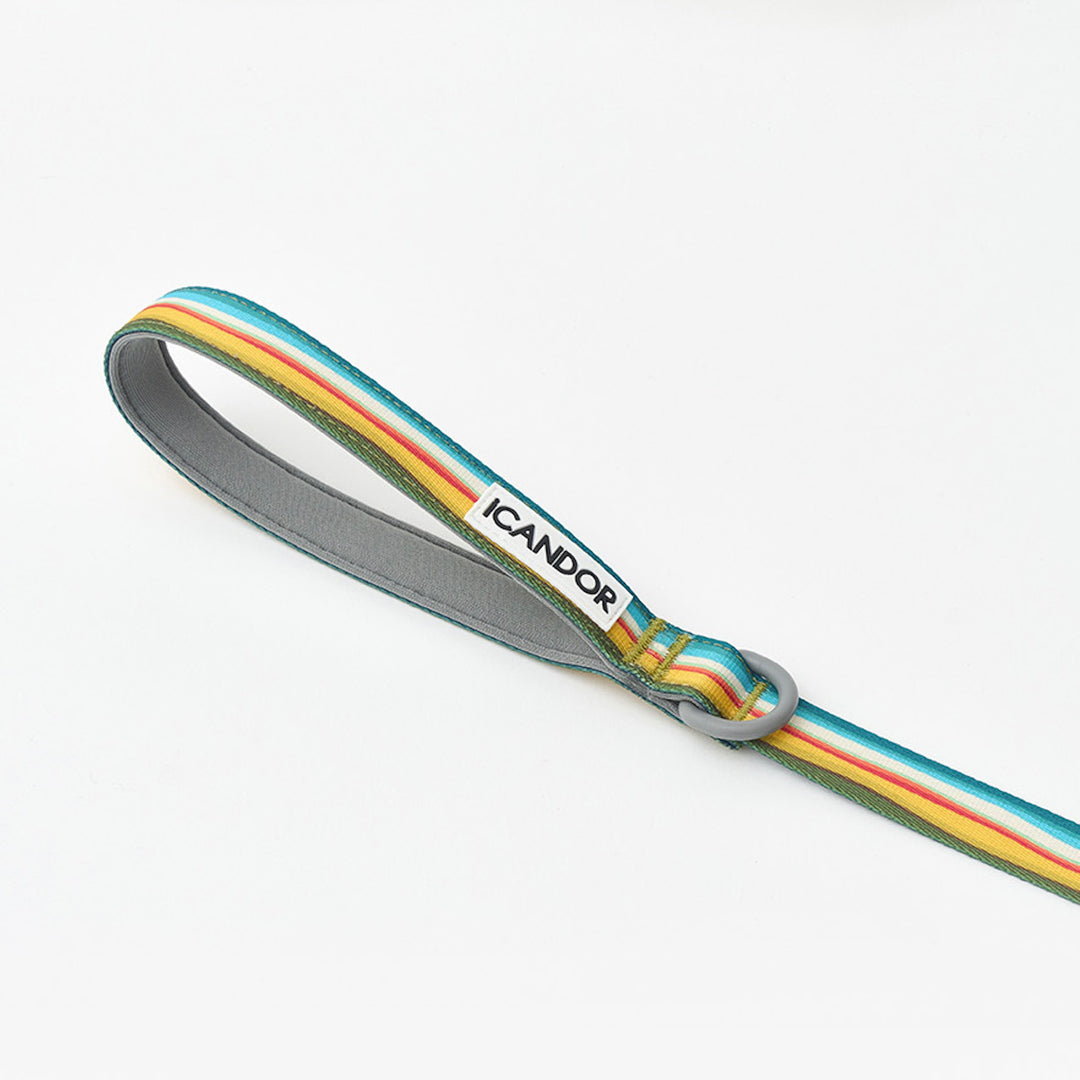 ※予約販売【iCANDOR】Gentle Leash（RIPPLE）