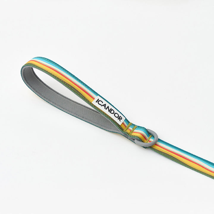 ※予約販売【iCANDOR】Gentle Leash（RIPPLE）