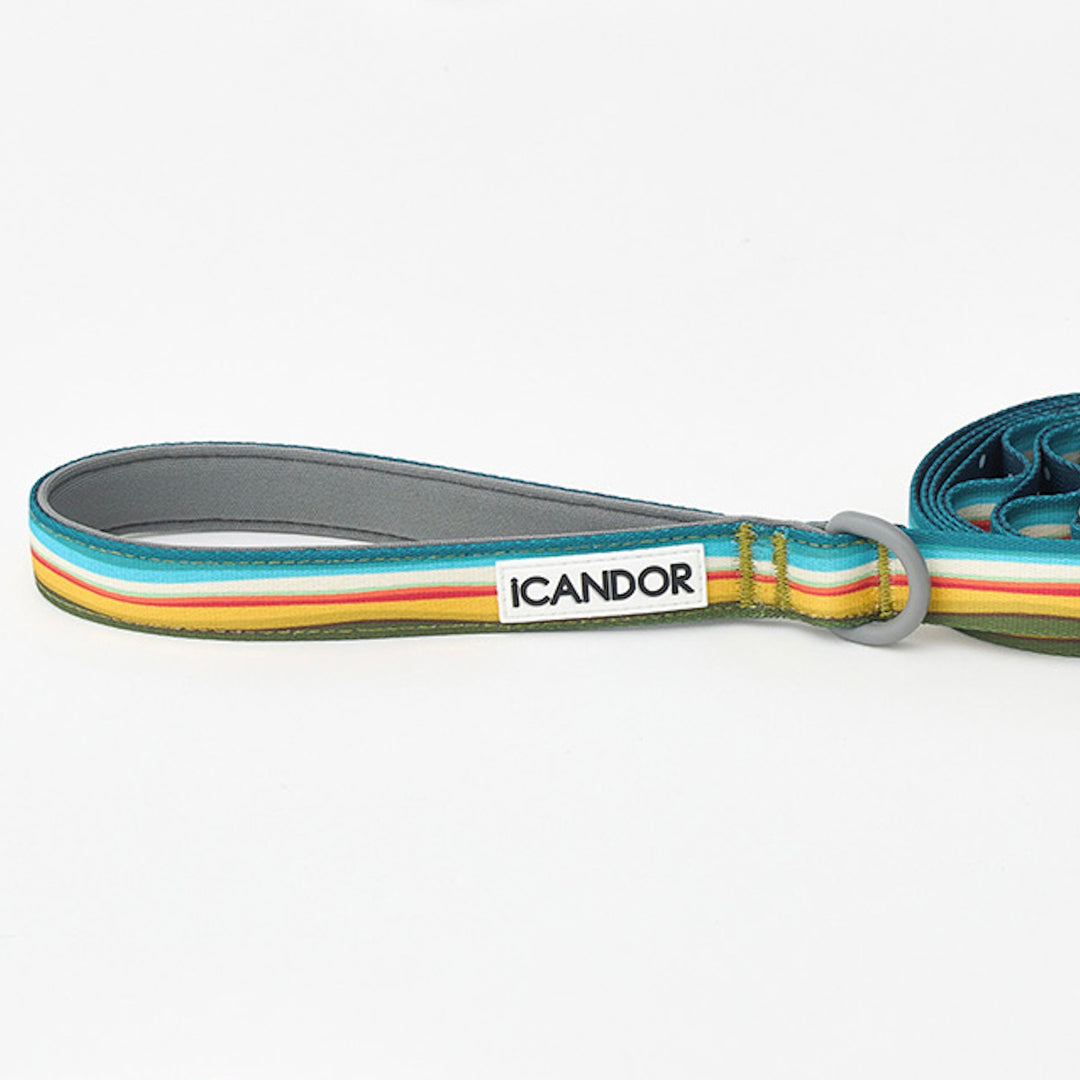 ※予約販売【iCANDOR】Gentle Leash（RIPPLE）