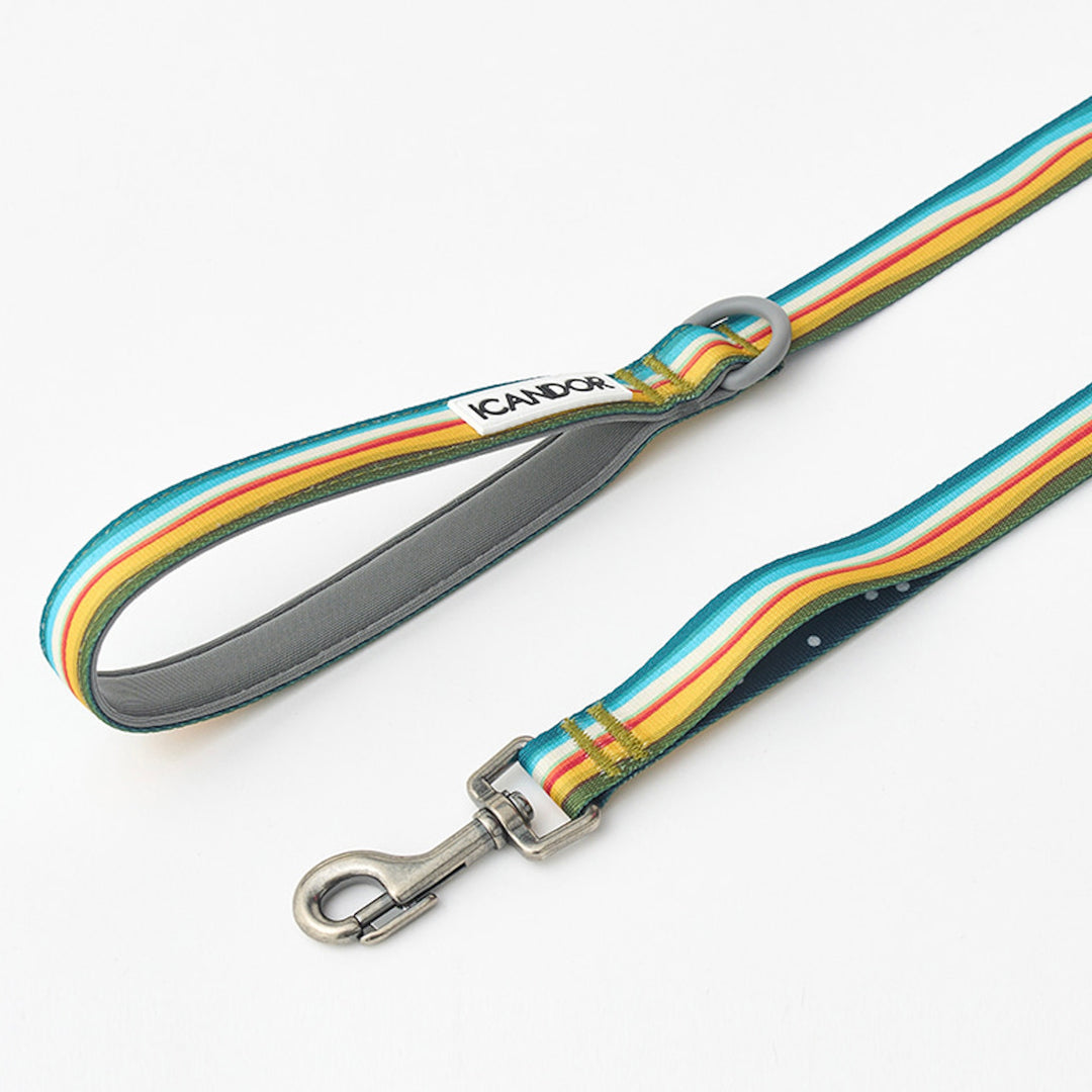 ※予約販売【iCANDOR】Gentle Leash（RIPPLE）