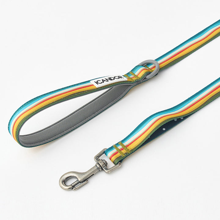 ※予約販売【iCANDOR】Gentle Leash（RIPPLE）