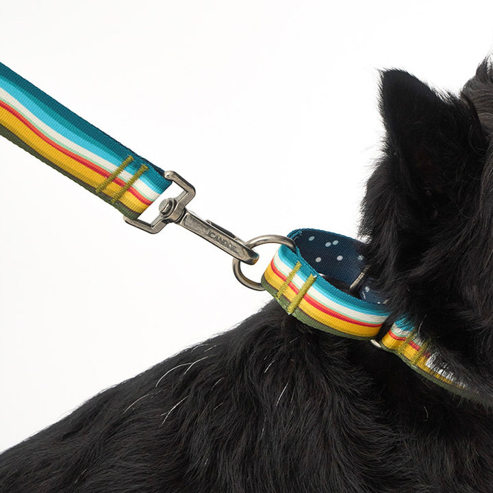 ※予約販売【iCANDOR】MARTINGALE COLLAR BUCKLE（RIPPLE）