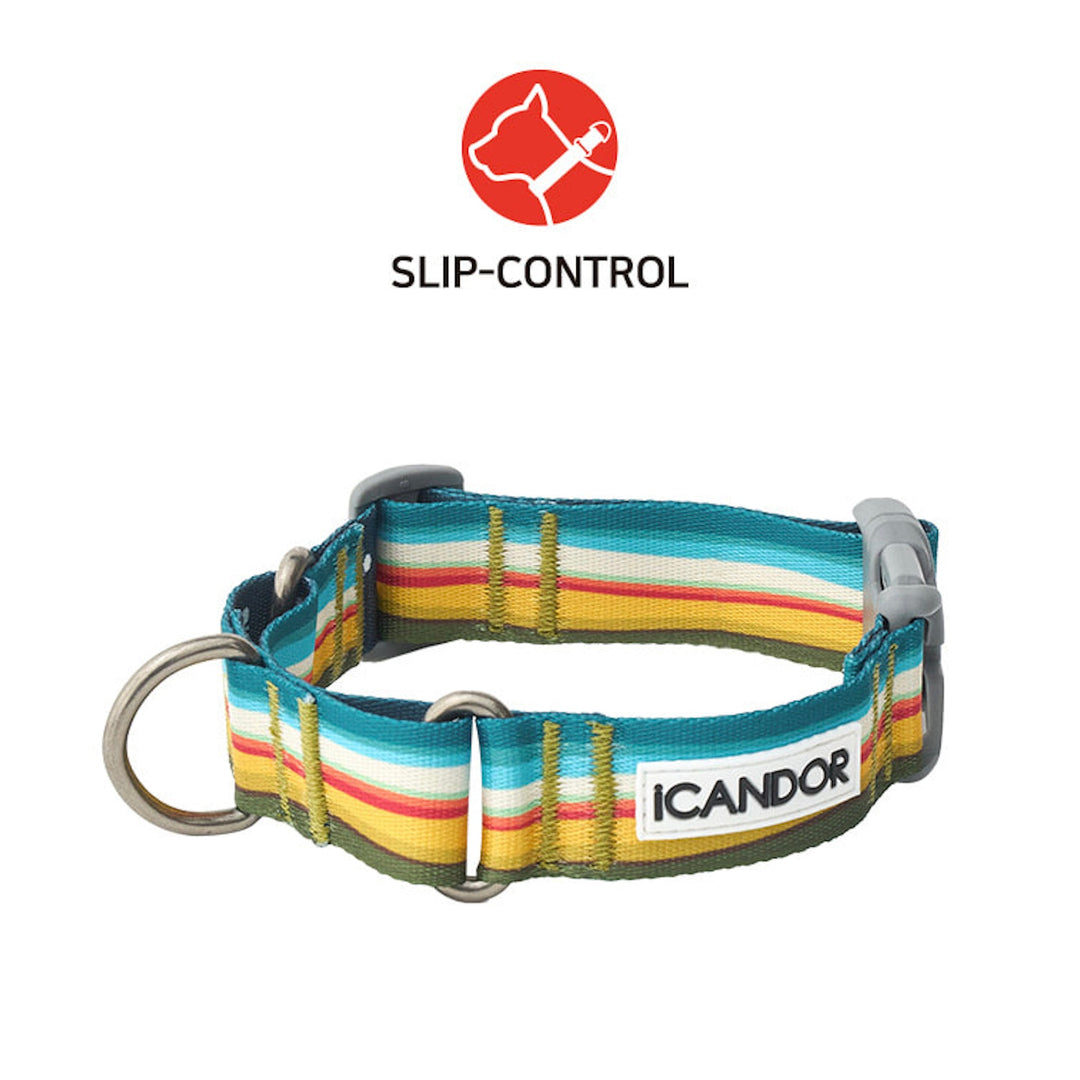 ※予約販売【iCANDOR】MARTINGALE COLLAR BUCKLE（RIPPLE）