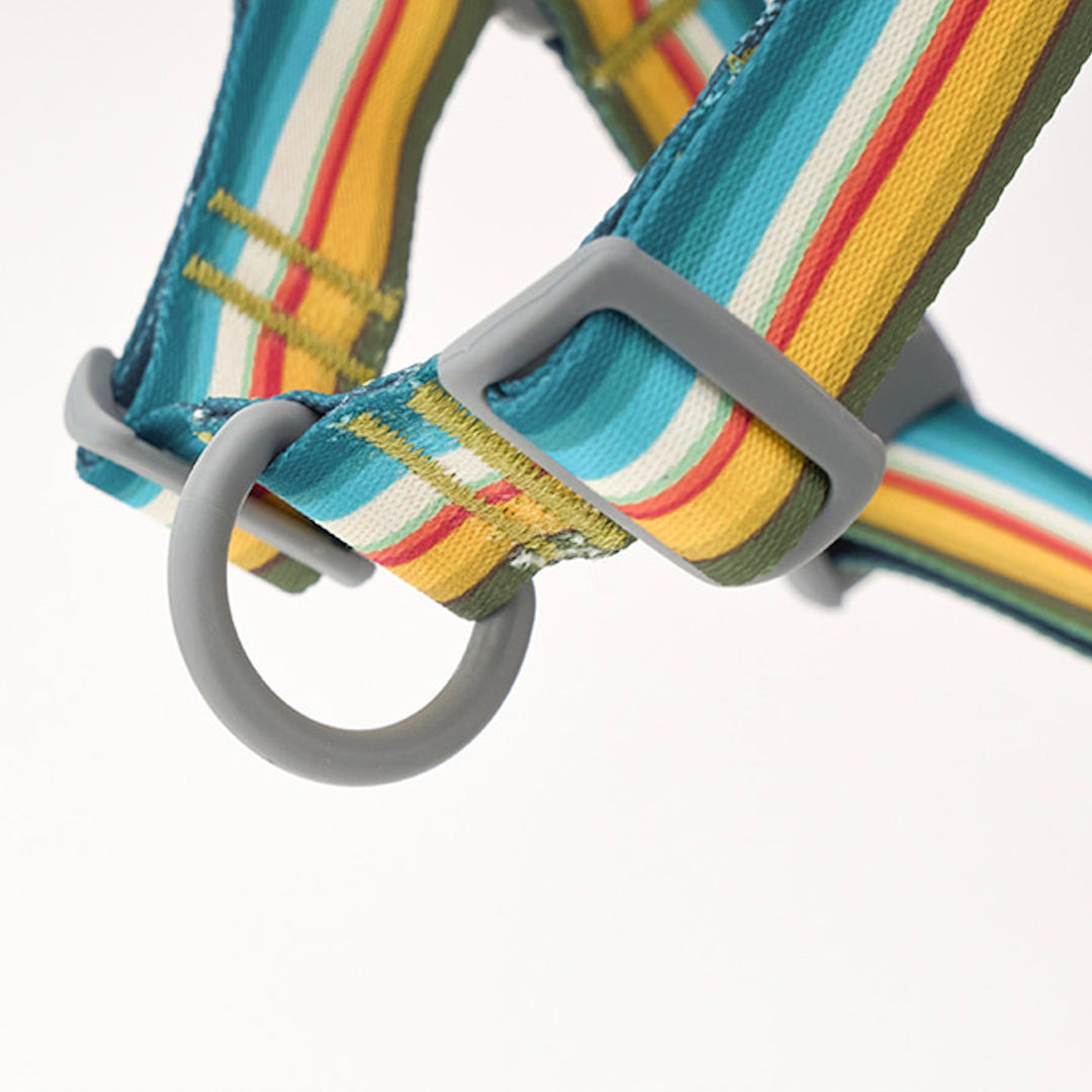 ※予約販売【iCANDOR】No-Pull Harness（RIPPLE）｜犬用ハーネス