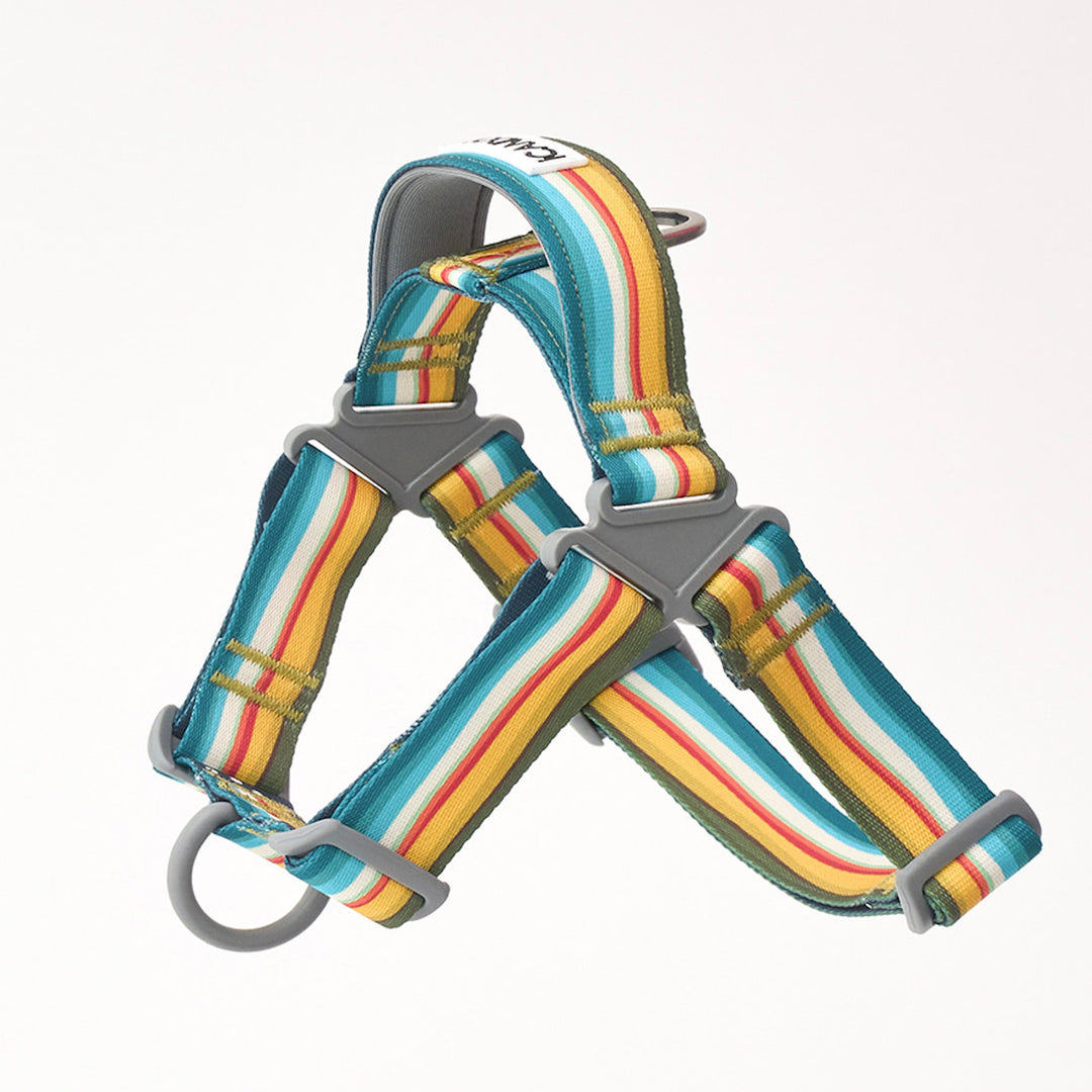 ※予約販売【iCANDOR】No-Pull Harness（RIPPLE）｜犬用ハーネス