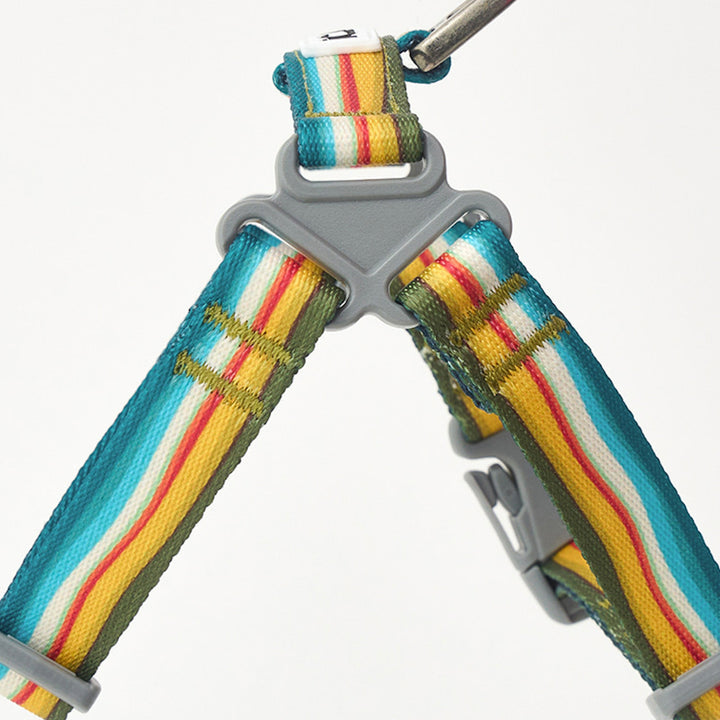 ※予約販売【iCANDOR】No-Pull Harness（RIPPLE）｜犬用ハーネス