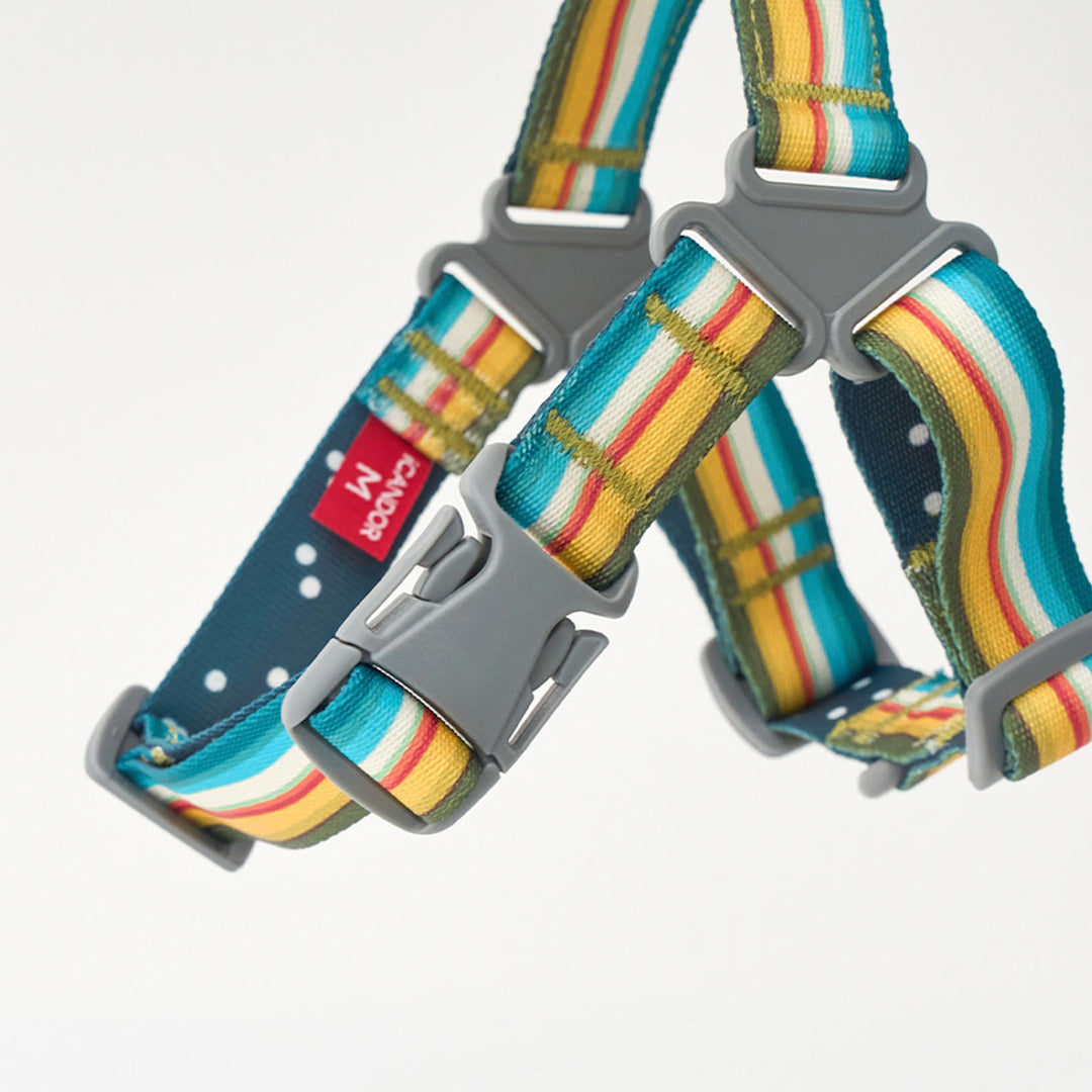 ※予約販売【iCANDOR】No-Pull Harness（RIPPLE）｜犬用ハーネス