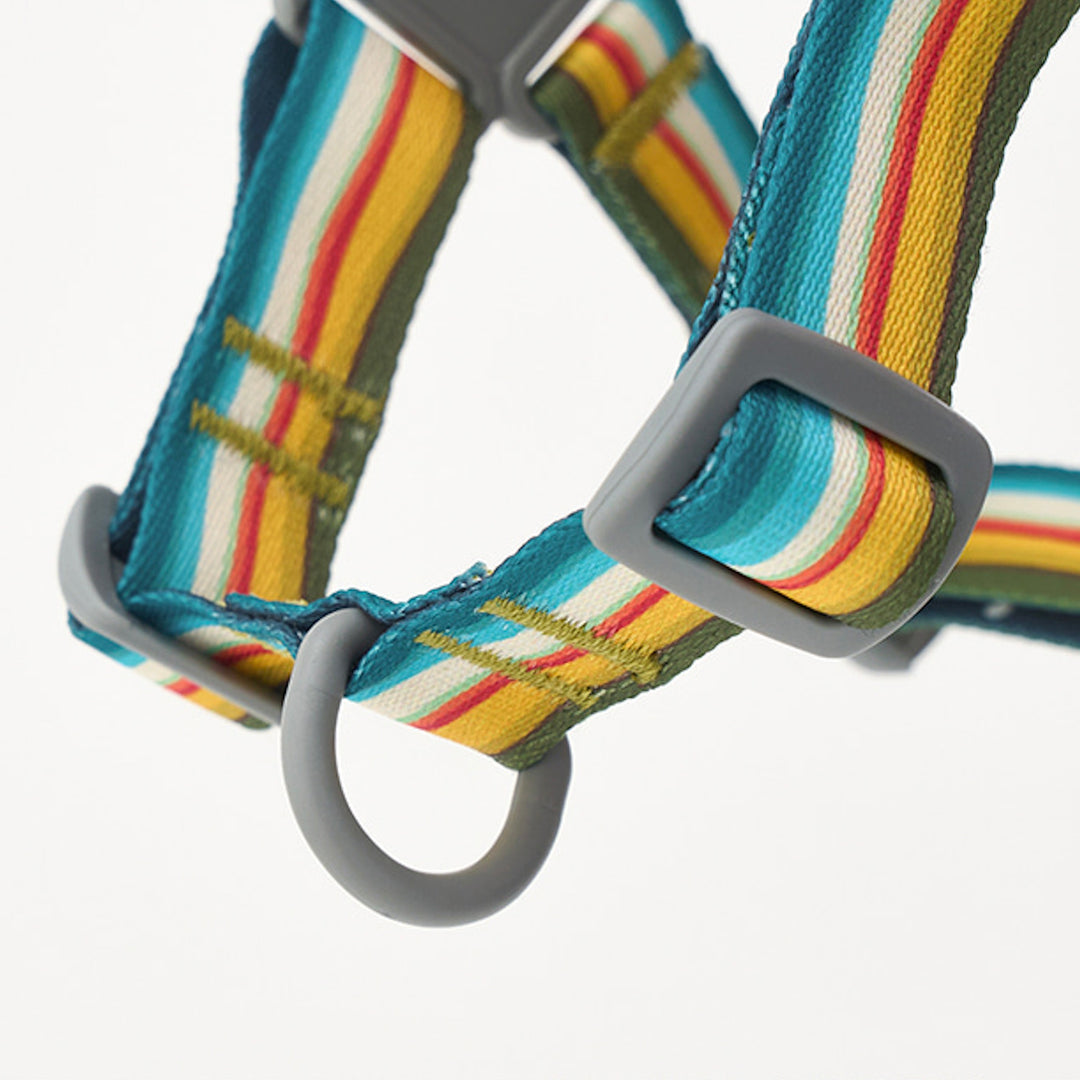 ※予約販売【iCANDOR】No-Pull Harness（RIPPLE）｜犬用ハーネス