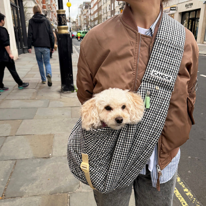 ※予約販売【iCANDOR】DUMPLING BAG（URBAN BLACK）