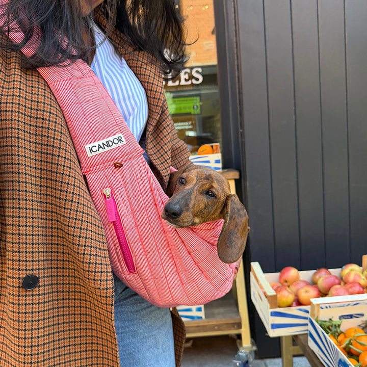 ※予約販売【iCANDOR】DUMPLING BAG（ICONIC RED）