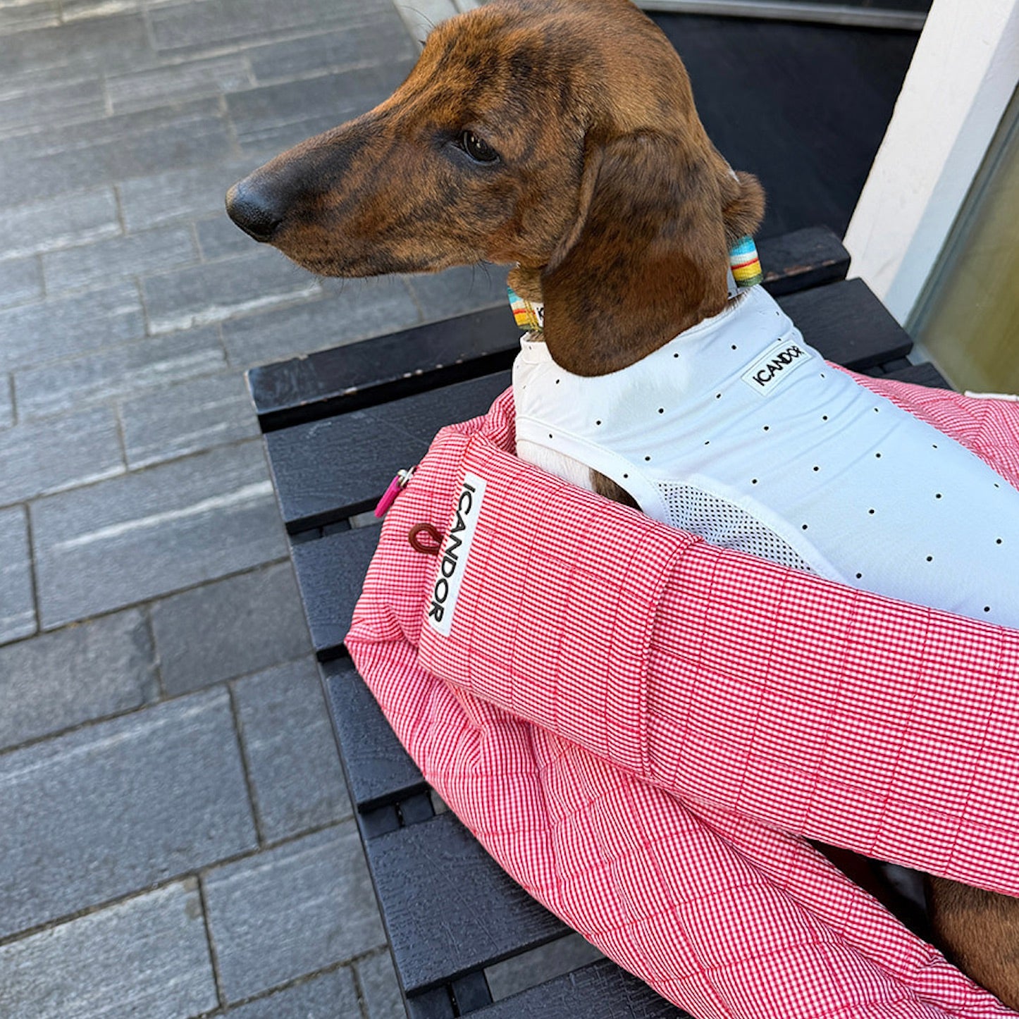 海外犬服 高品質なインポートのドッグウェア通販 