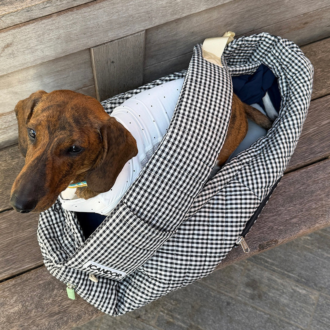 ※予約販売【iCANDOR】DUMPLING BAG（URBAN BLACK）