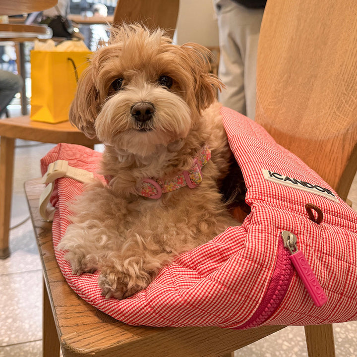 ※予約販売【iCANDOR】DUMPLING BAG（ICONIC RED）