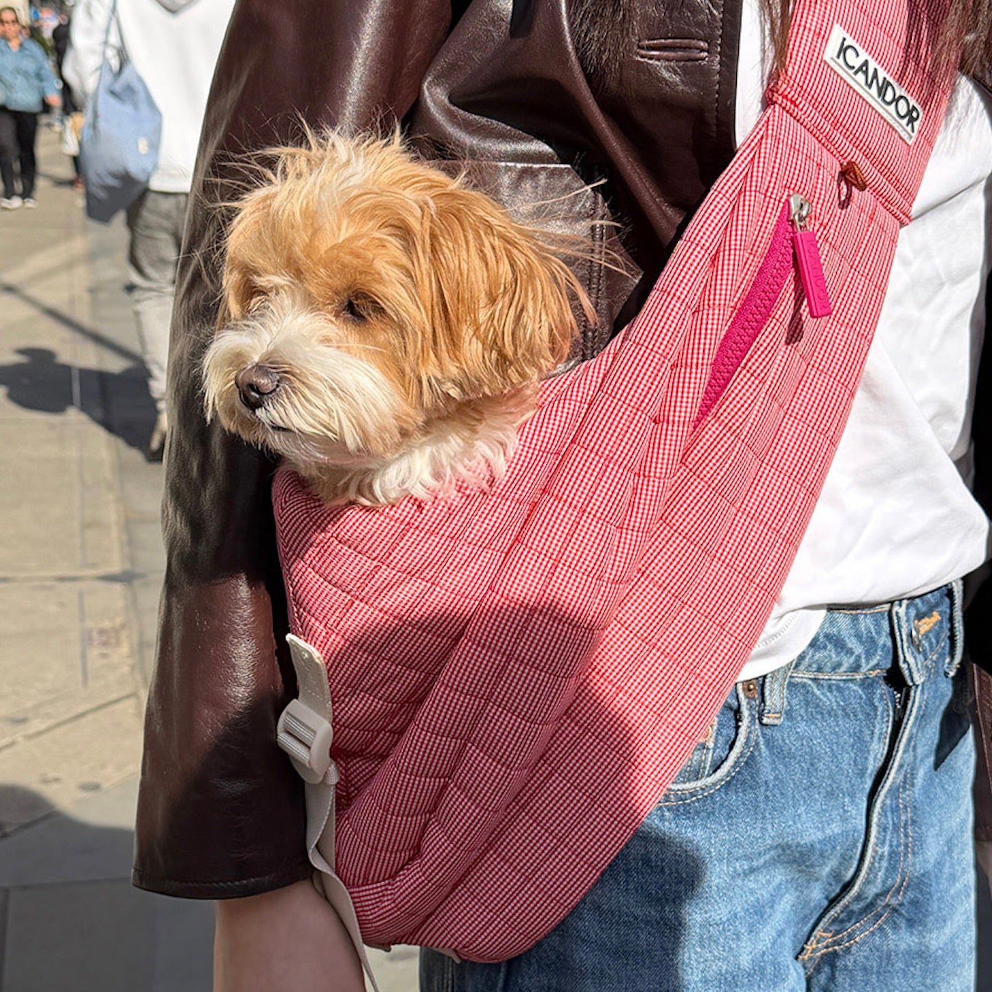 海外犬服 高品質なインポートのドッグウェア通販 