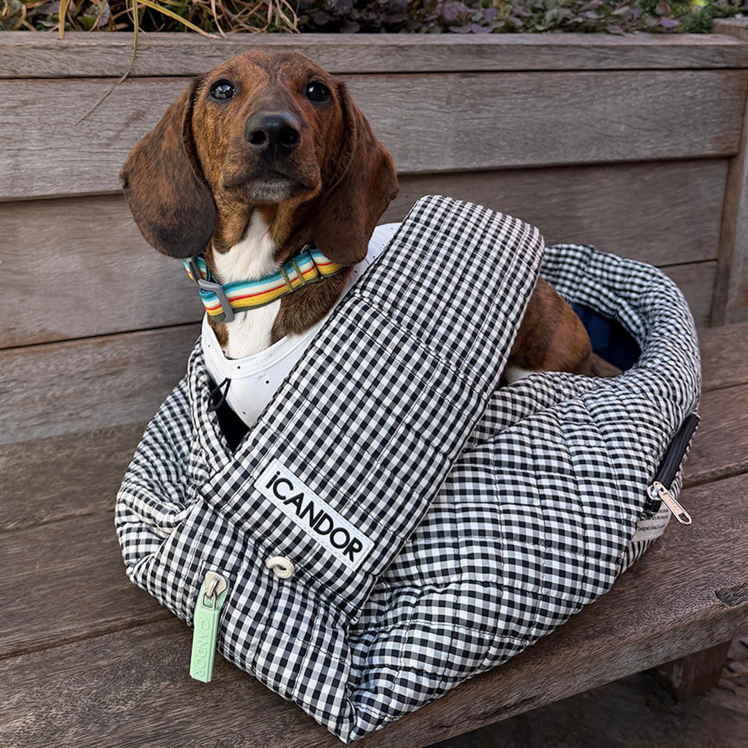 ※予約販売【iCANDOR】DUMPLING BAG（URBAN BLACK）
