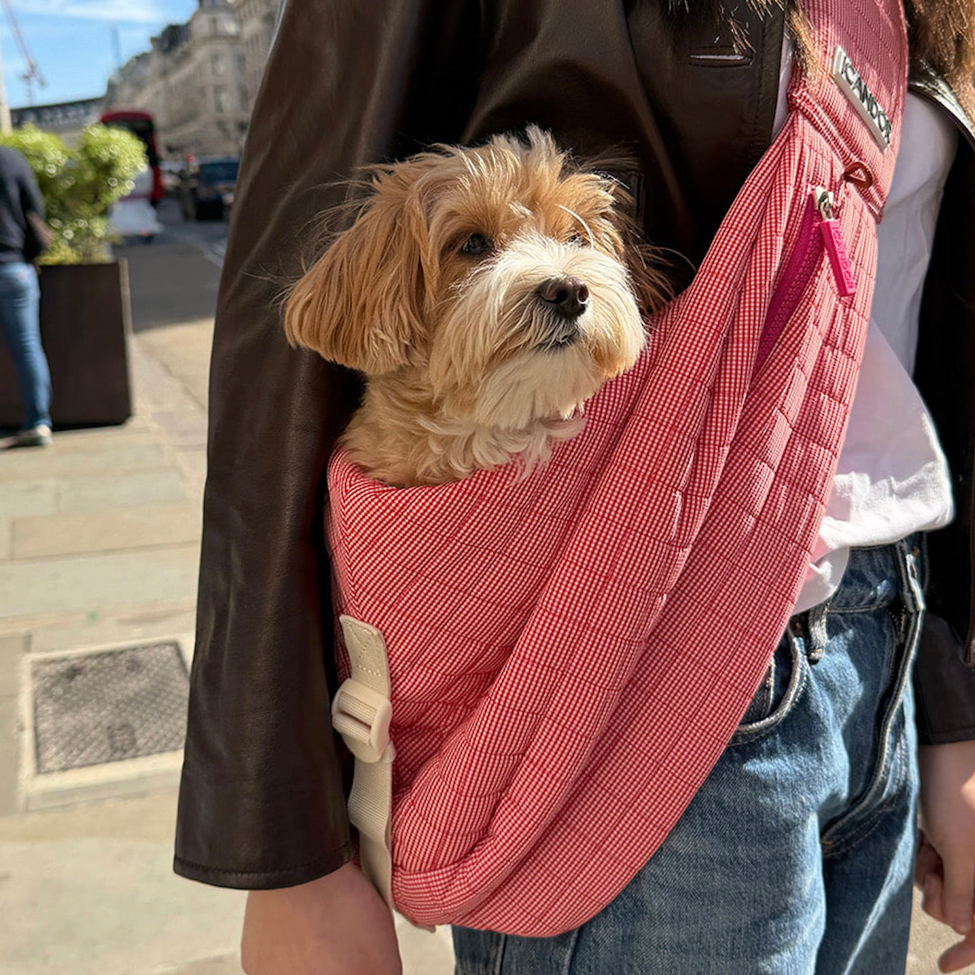 即納【iCANDOR】DUMPLING BAG（ICONIC RED）｜犬用バッグ
