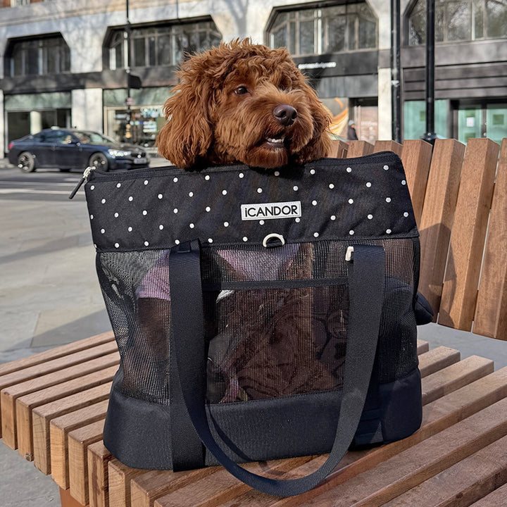 ※予約販売【iCANDOR】BRISBANE BAG（CAPRI BLACK）｜犬用バッグ