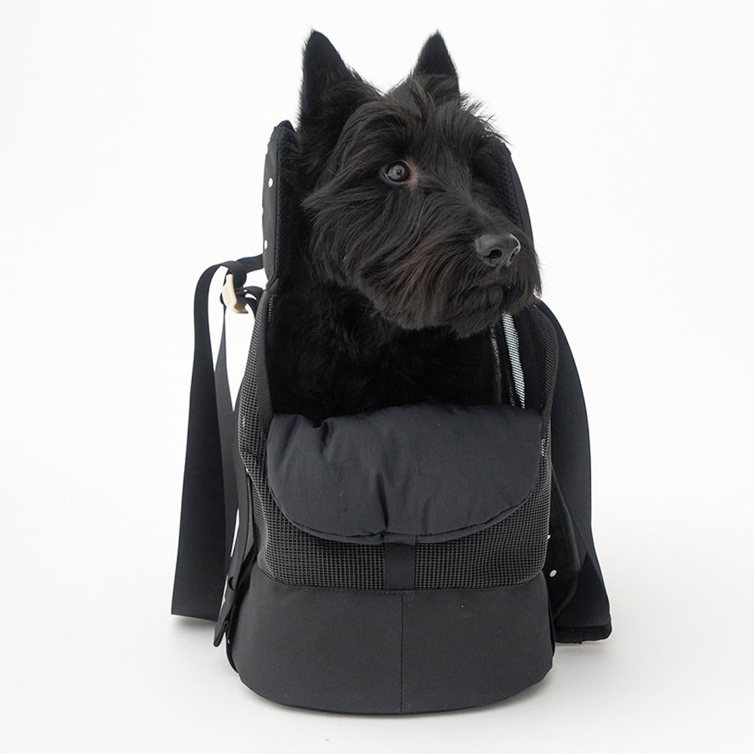 ※予約販売【iCANDOR】BRISBANE BAG（CAPRI BLACK）｜犬用バッグ