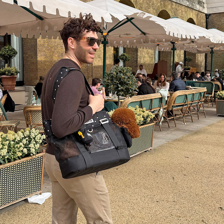 ※予約販売【iCANDOR】BRISBANE BAG（CAPRI BLACK）｜犬用バッグ