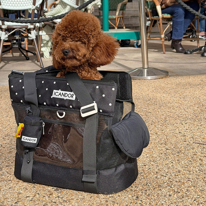 ※予約販売【iCANDOR】BRISBANE BAG（CAPRI BLACK）｜犬用バッグ