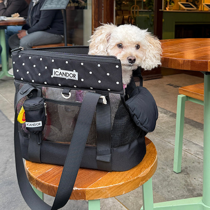 ※予約販売【iCANDOR】BRISBANE BAG（CAPRI BLACK）｜犬用バッグ