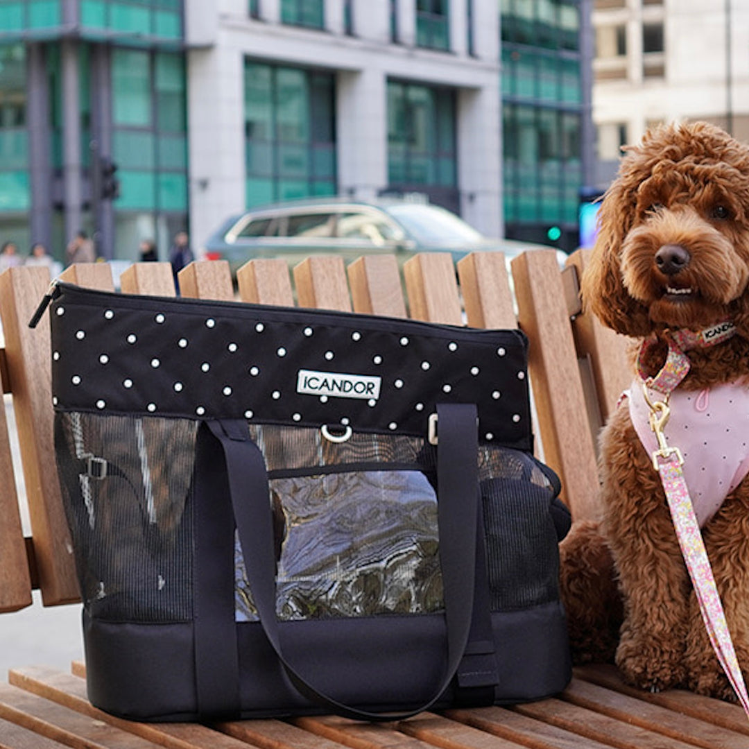※予約販売【iCANDOR】BRISBANE BAG（CAPRI BLACK）｜犬用バッグ