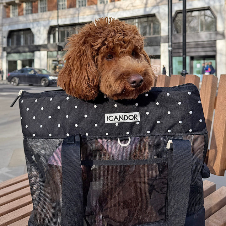 ※予約販売【iCANDOR】BRISBANE BAG（CAPRI BLACK）｜犬用バッグ