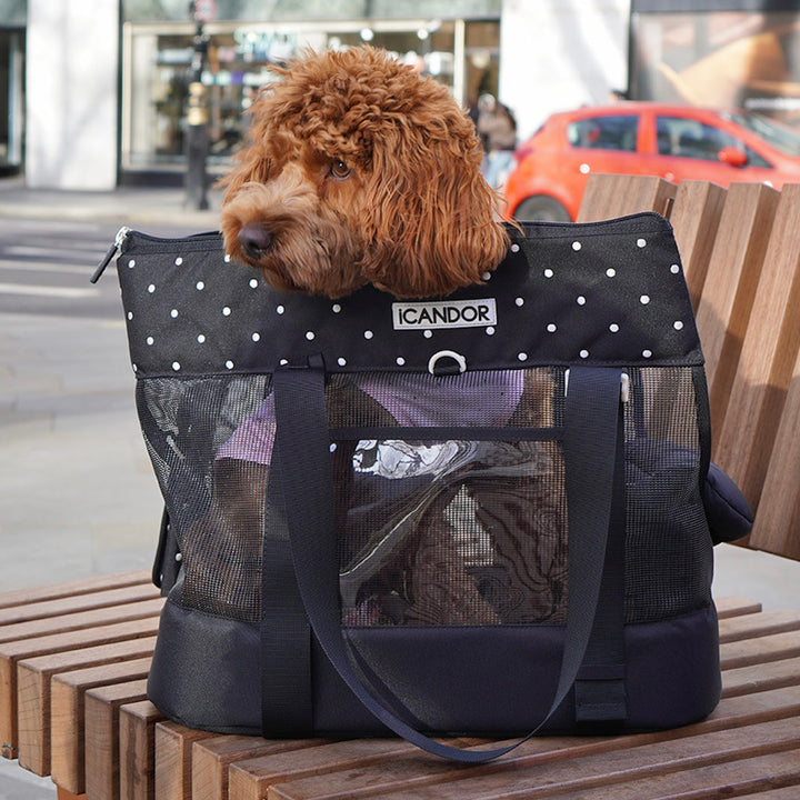 ※予約販売【iCANDOR】BRISBANE BAG（CAPRI BLACK）｜犬用バッグ