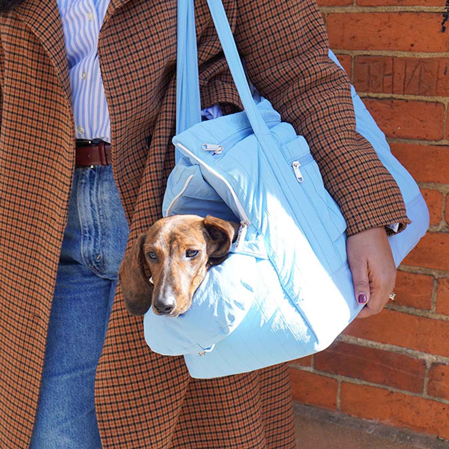 海外犬服 高品質なインポートのドッグウェア通販 