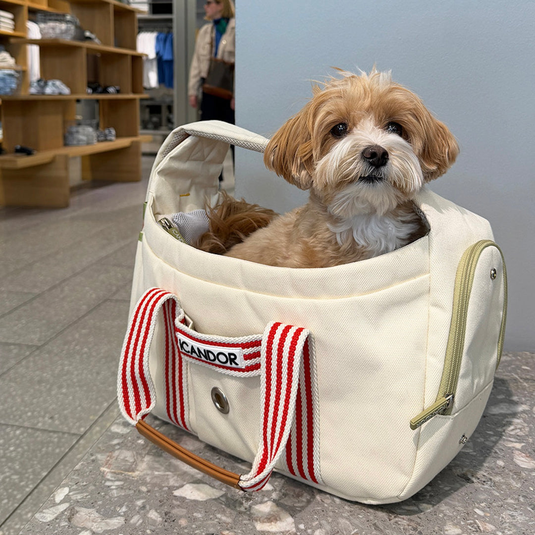 ※予約販売【iCANDOR】PEEK-A-BOO BAG（CAPRI EDITION）