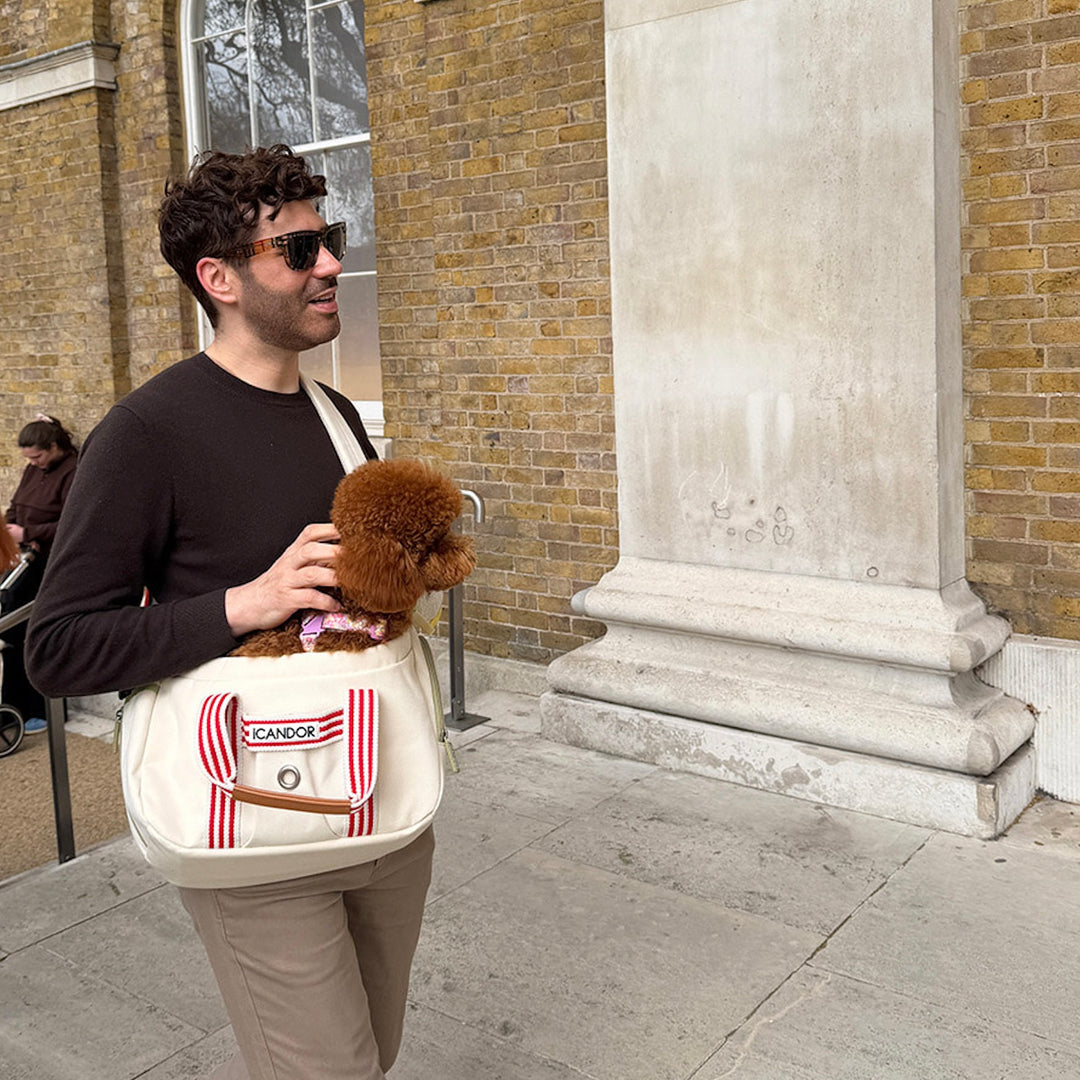※予約販売【iCANDOR】PEEK-A-BOO BAG（CAPRI EDITION）