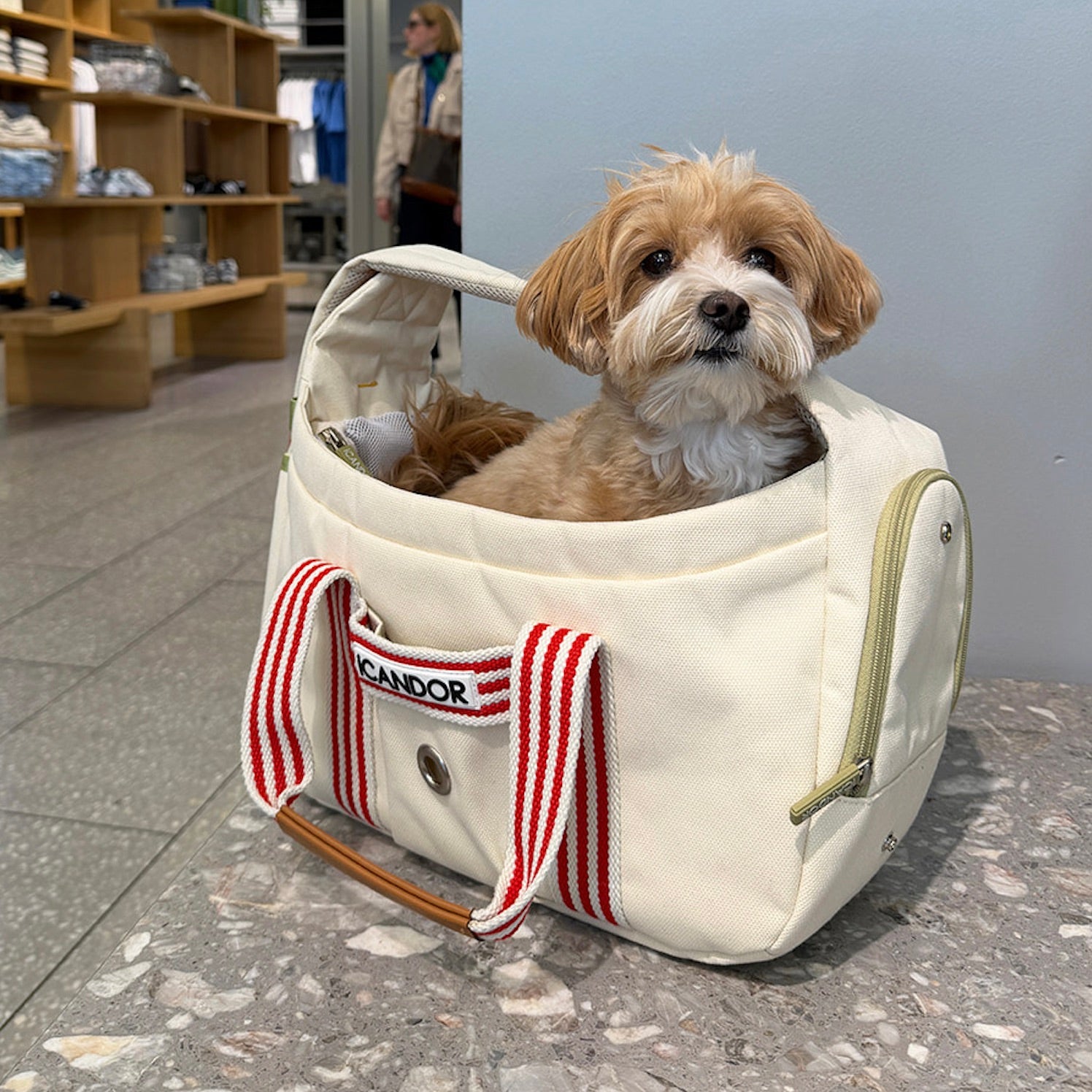 海外犬服 高品質なインポートのドッグウェア通販 