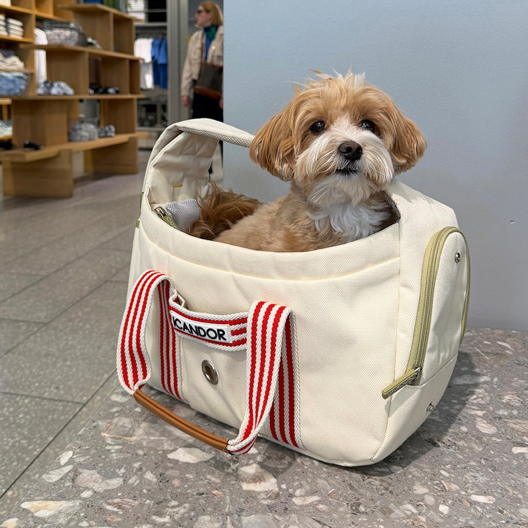 ※予約販売【iCANDOR】PEEK-A-BOO BAG（CAPRI EDITION）