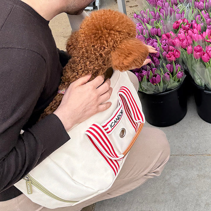 ※予約販売【iCANDOR】PEEK-A-BOO BAG（CAPRI EDITION）