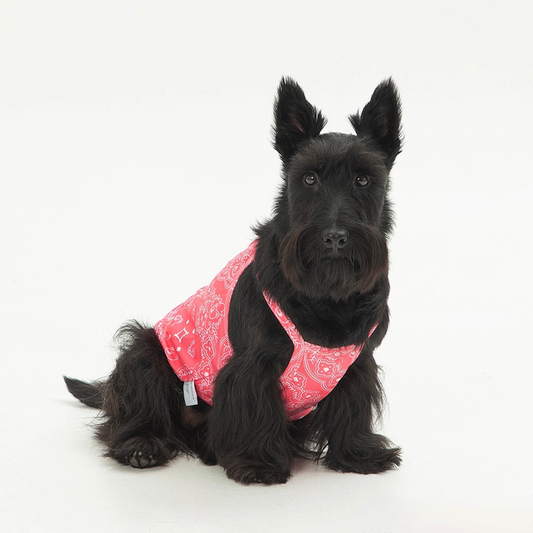 ※予約販売【andblank】Joy Bear Bandana Bug Guard Cooling Sleeveless（Pink）