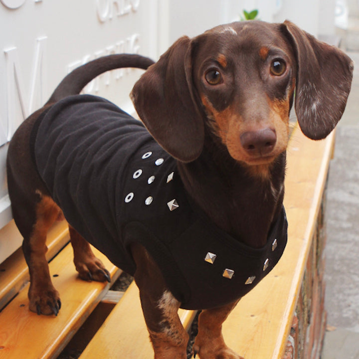 ※予約販売【ITS DOG】Studded Leather T-Shirt