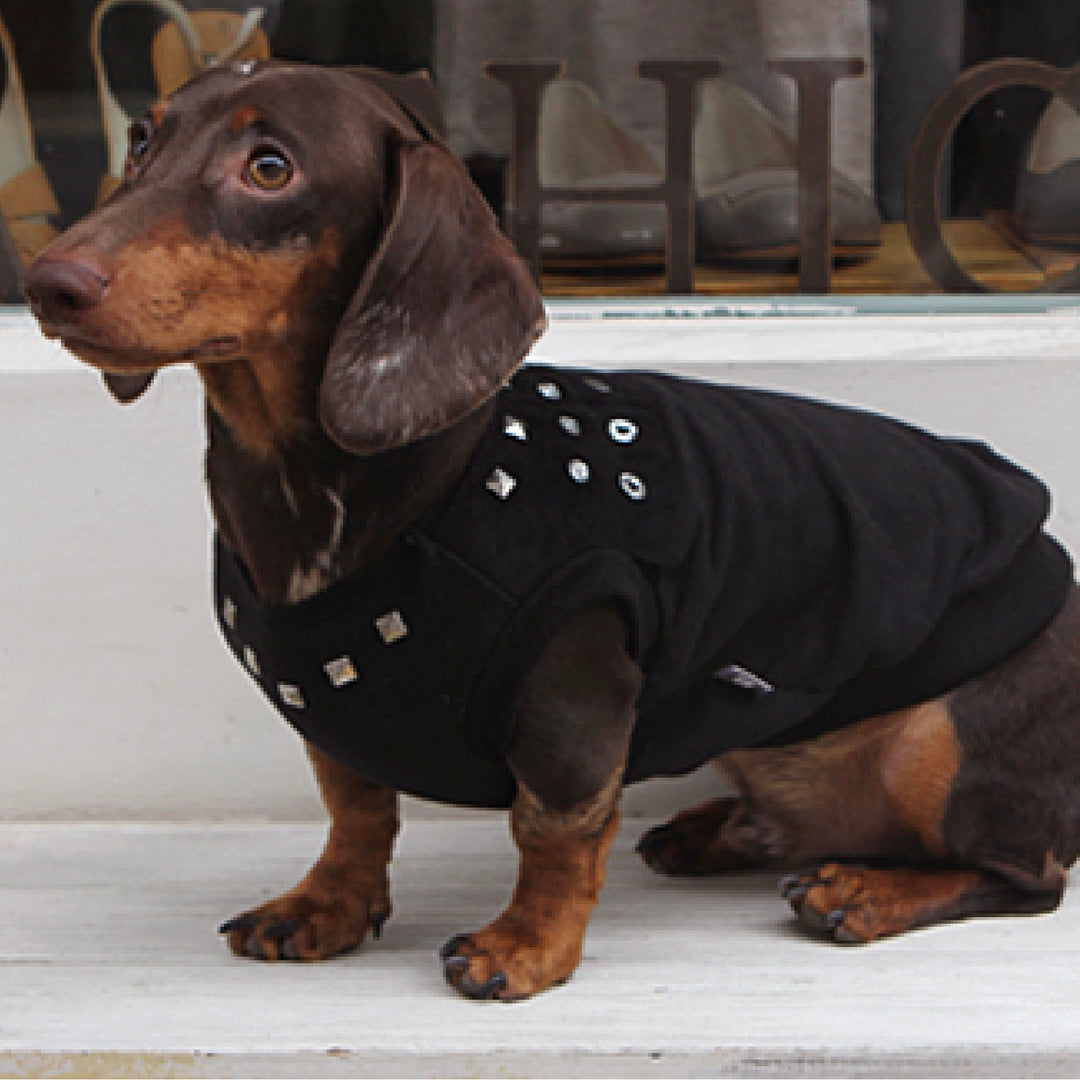 ※予約販売【ITS DOG】Studded Leather T-Shirt