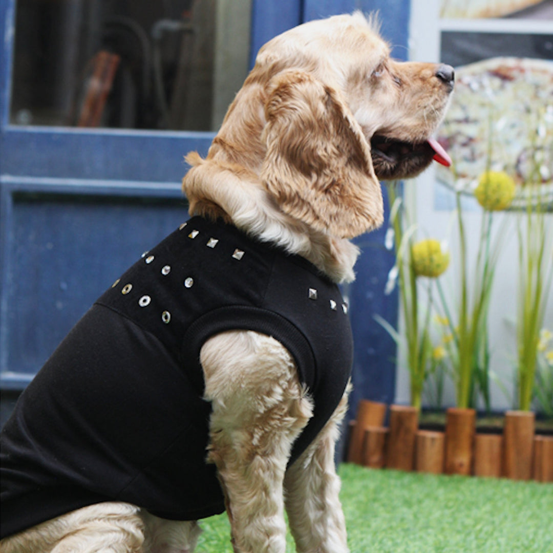 ※予約販売【ITS DOG】Studded Leather T-Shirt