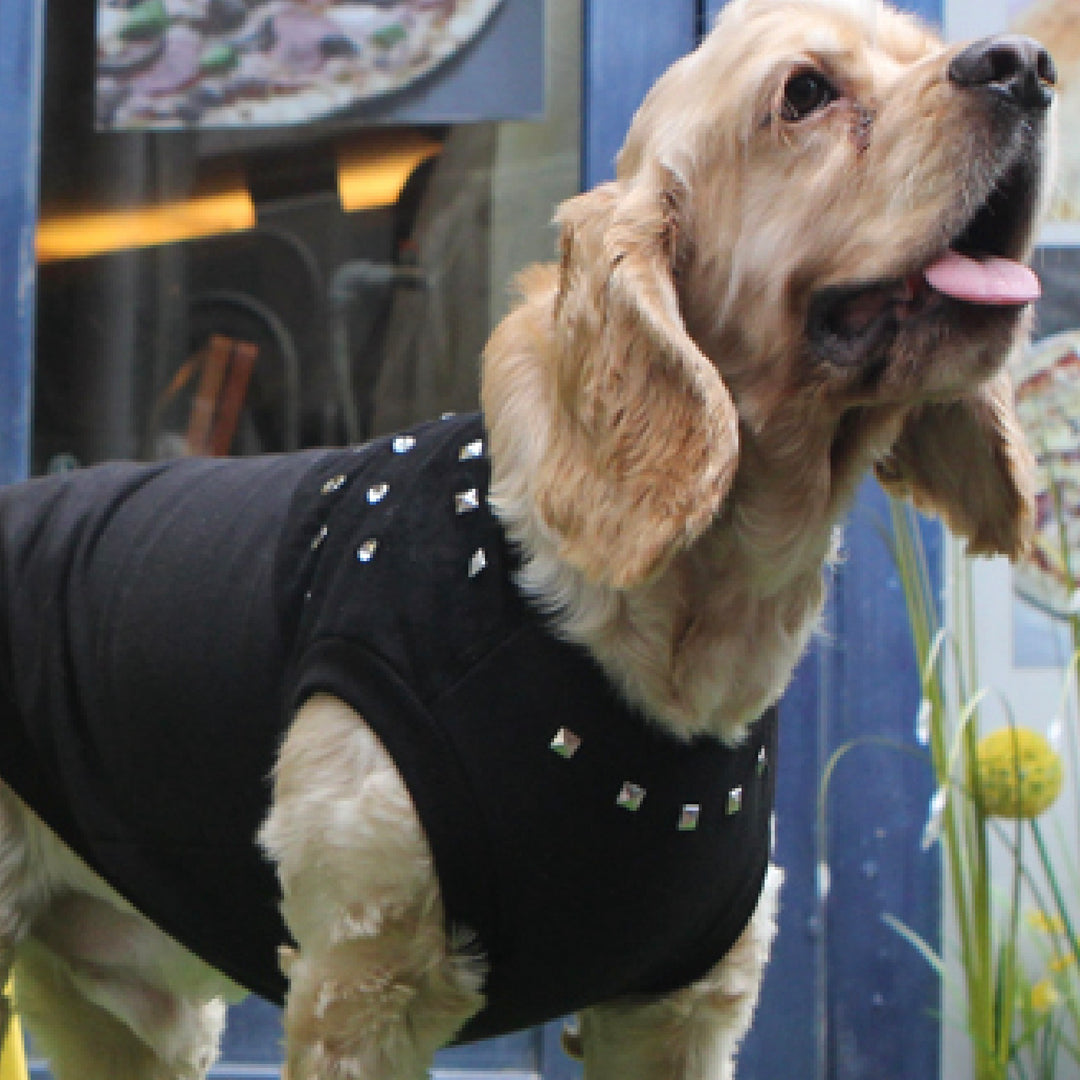 ※予約販売【ITS DOG】Studded Leather T-Shirt