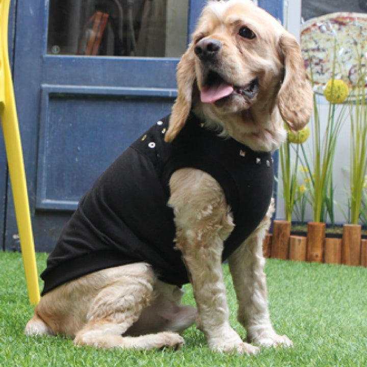 ※予約販売【ITS DOG】Studded Leather T-Shirt