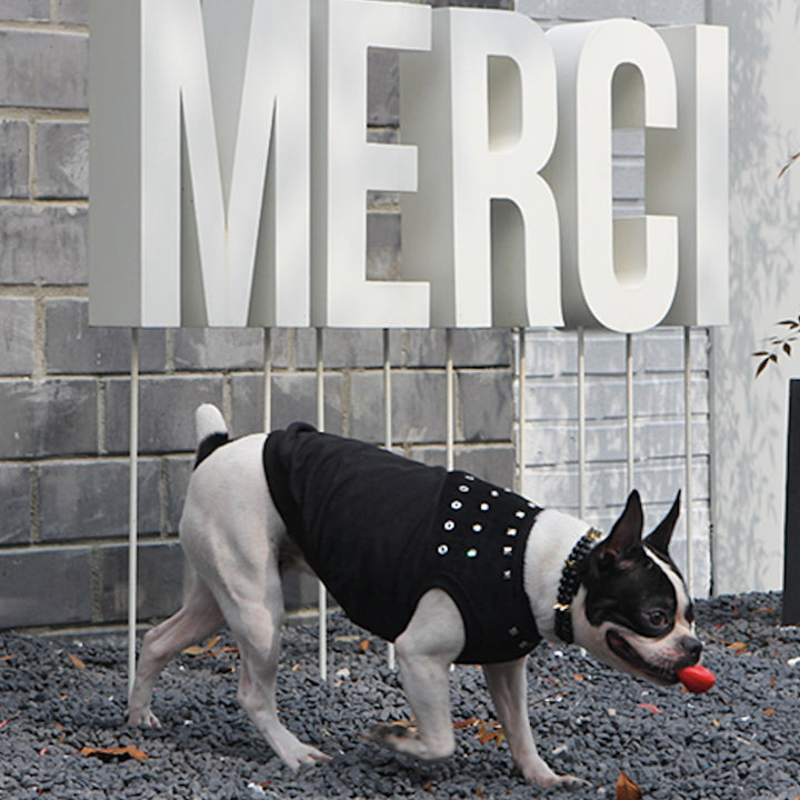 ※予約販売【ITS DOG】Studded Leather T-Shirt