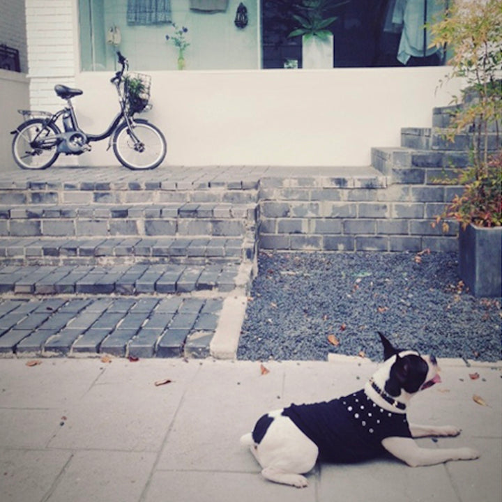 ※予約販売【ITS DOG】Studded Leather T-Shirt