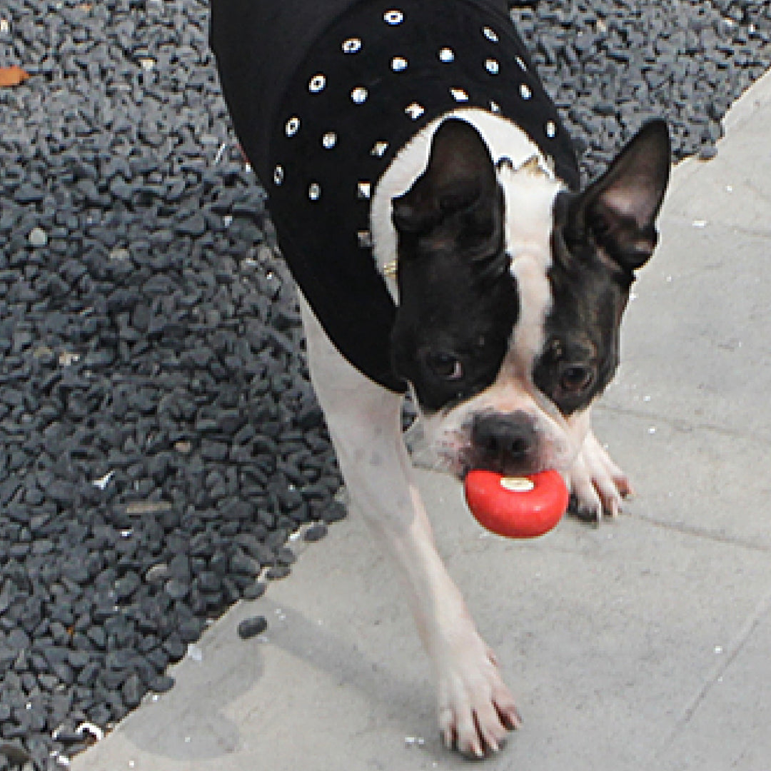 ※予約販売【ITS DOG】Studded Leather T-Shirt