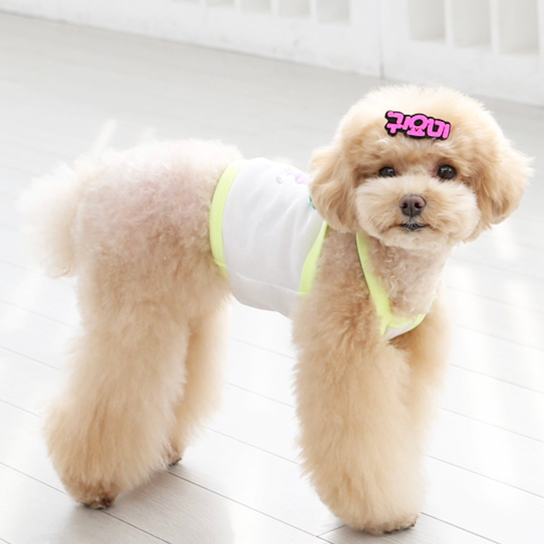 ※予約販売【ITS DOG】Fruit Crop Nasi（Neon Yellow）