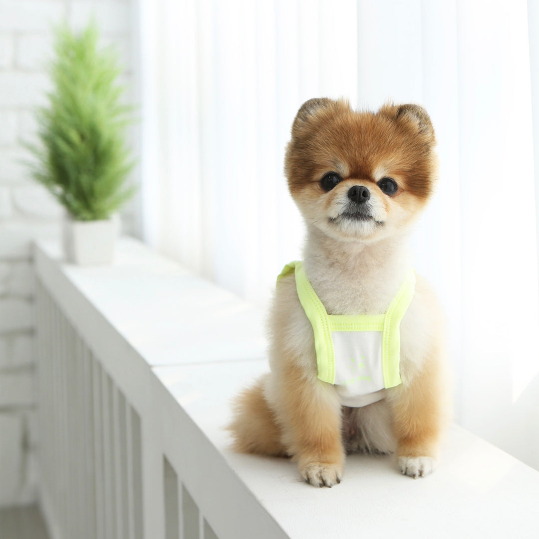 ※予約販売【ITS DOG】Fruit Crop Nasi（Neon Yellow）