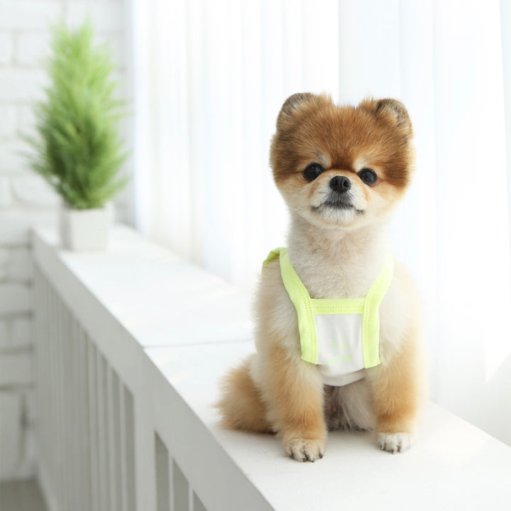 ※予約販売【ITS DOG】Fruit Crop Nasi（Neon Yellow）