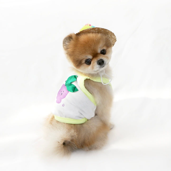 ※予約販売【ITS DOG】Fruit Crop Nasi（Neon Yellow）