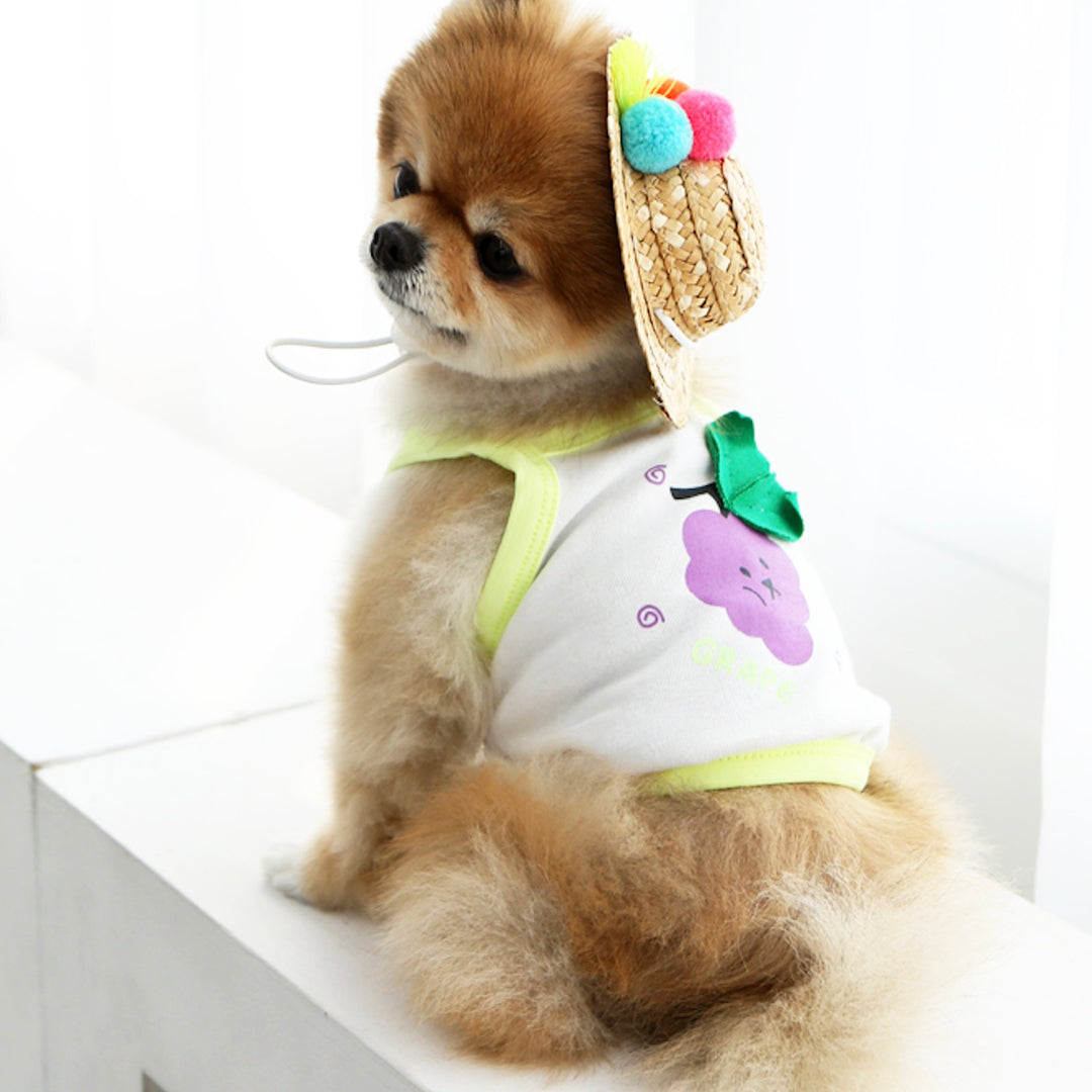 ※予約販売【ITS DOG】Fruit Crop Nasi（Neon Yellow）