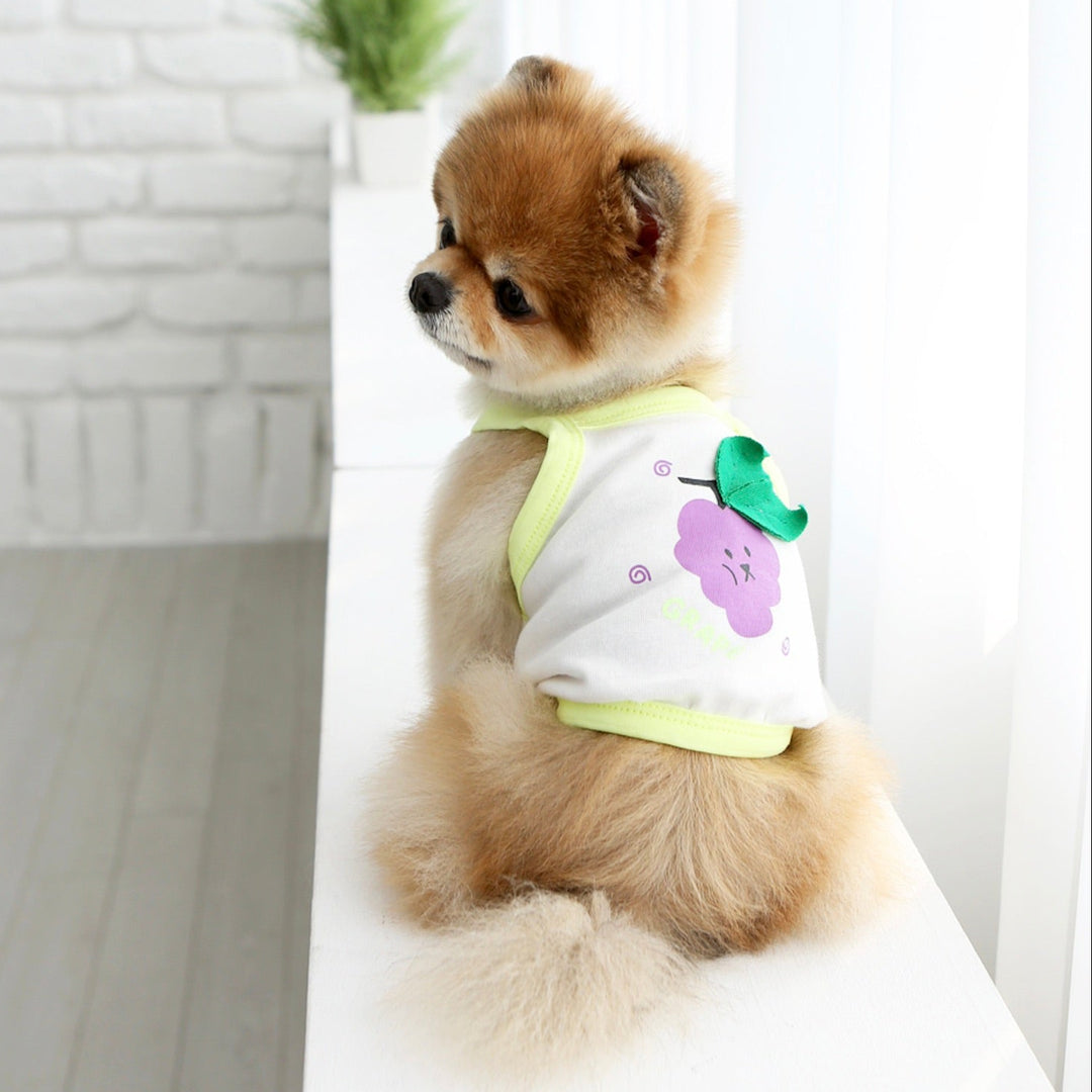 ※予約販売【ITS DOG】Fruit Crop Nasi（Neon Yellow）