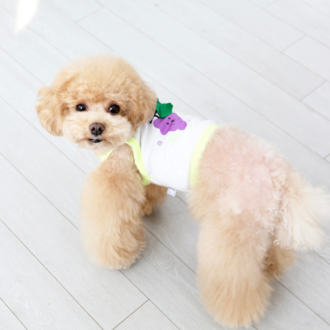 ※予約販売【ITS DOG】Fruit Crop Nasi（Neon Yellow）